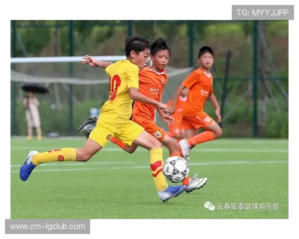 陈树鹏带领怀化足球崛起 助力地方足球发展与青训体系建设